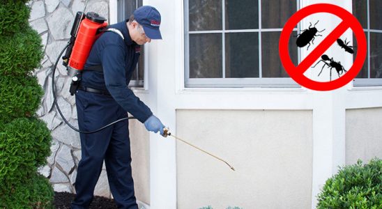 Bayraklı Tahtakurusu İlaçlama böcek ilaçlama ve haşere kontrolü — ilaclama-tr.com